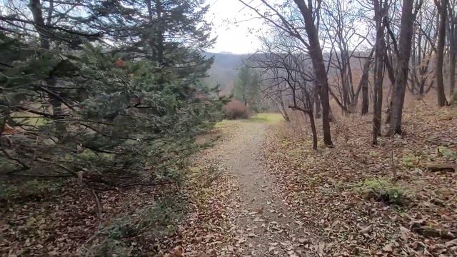 Получаю удовольствие от простых вещей на воздержании. Ответы внутри. Простые вещи. #воздержание# смотреть онлайн