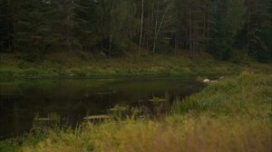 Ловля голавля на фидер. Основные ошибки и тактика ловли.