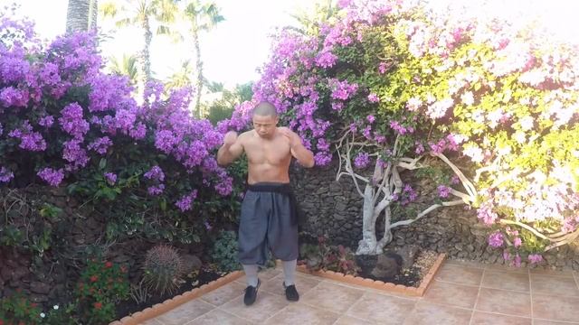 Shaolin Monk Inner Power Workout - Lower Body смотреть онлайн