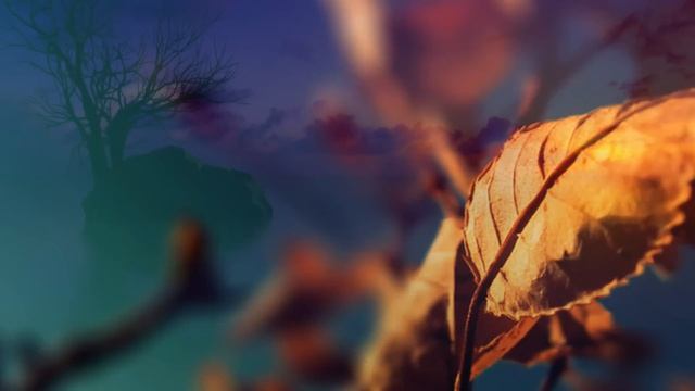 Идея для ваших фото №51 смотреть онлайн