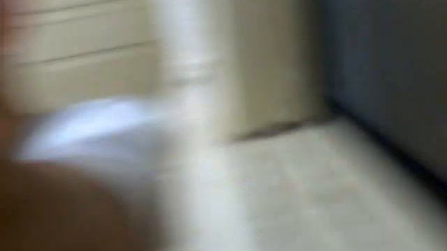 webcam смотреть онлайн