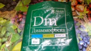 Диаммофоска. И весной и осенью.