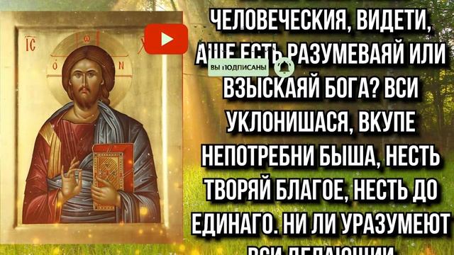 Private video смотреть онлайн