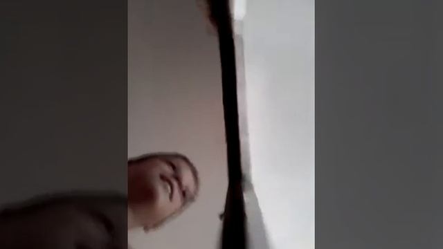 Зачем нужны животные смотреть онлайн