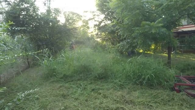 MOWING EXTREMELY OVERGROWN LAWN - CITY VIOLATION - Abatement property - Satisfying Lawn care смотреть онлайн
