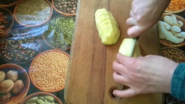 Домашние Животные и Их Уход