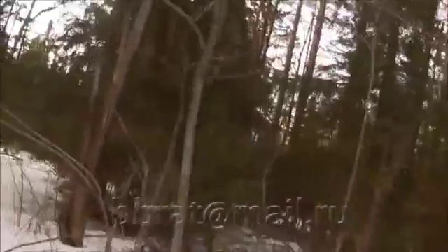 Охота на медведя ! смотреть онлайн