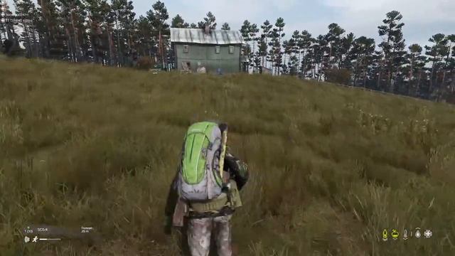 DayZ - Кошмарим Чернорусь (Стрим) смотреть онлайн