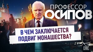 ПРОФЕССОР ОСИПОВ: В ЧЕМ ЗАКЛЮЧАЕТСЯ ПОДВИГ МОНАШЕСТВА?