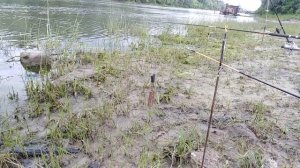 Рыбалка в Новочеркасске (холодный канал). Как наловить карася?! #Новочеркасск #Донской