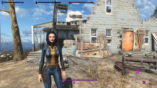 Fallout 4: New Mods: Captainoob Companion Face Presets - Get the look! смотреть онлайн