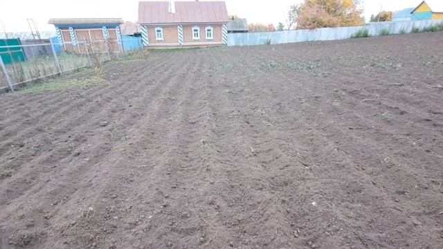 Посадка чеснока 2021. День 2 смотреть онлайн