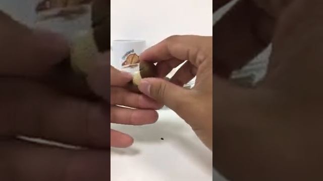 Обзор на орех Макадамия. Где купить и как открыть. #макадамия #orexland.ru #орех #орехлэнд смотреть онлайн