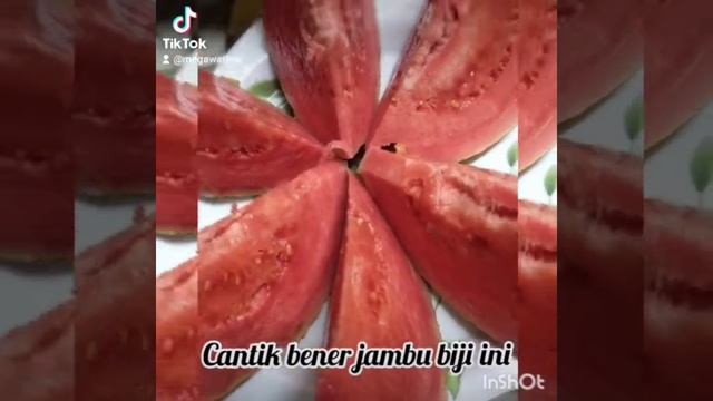 JUS JAMBU BIJI ISTIMEWA NUTRISI HERBALIFLE SEHAT DAN LANGSING HOME CLUB NUTRISI MEGARIA KITCHEN смотреть онлайн