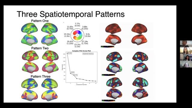 Taylor Bolt: Global functional brain organization in three spatiotemporal patterns смотреть онлайн