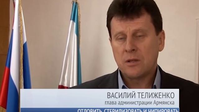 Отловить, стерилизовать и чипировать смотреть онлайн