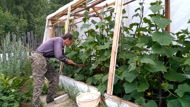 Длинная РУКА для удобного парника!! смотреть онлайн
