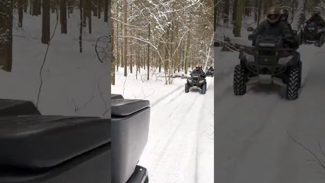 Аренда квадроцикла в Москве смотреть онлайн