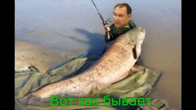 Vladimir Rasin «Работа с программой по созданию дружеских шаржей». смотреть онлайн