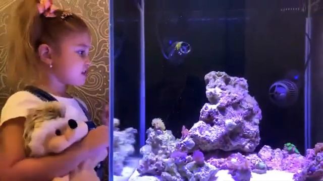 Запуск морского аквариума! Четвёртая серия! Водоросли проходят! Собачка биколор! Кораллы растут! смотреть онлайн