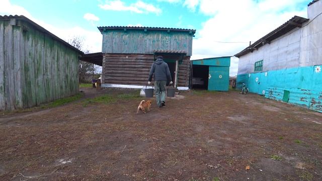 ОКТЯБРЬ 2022 года ЖИЗНЬ В СИБИРСКОЙ ГЛУБИНКЕ. 544 серия ИЗ ГОРОДА В ДЕРЕВНЮ смотреть онлайн