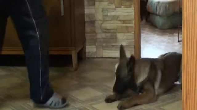 учим место ARMES 3месяца 10 дней смотреть онлайн