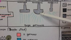 Ультразвуковая диагностика: Основы (для начинающих) / УЗД / УЗИ