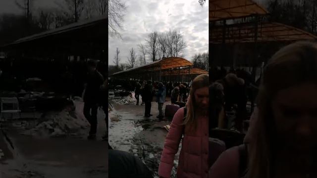 Санкт-Петербург. РЫНОК НА УДЕЛЬНОЙ. Борохолочка в выходные смотреть онлайн