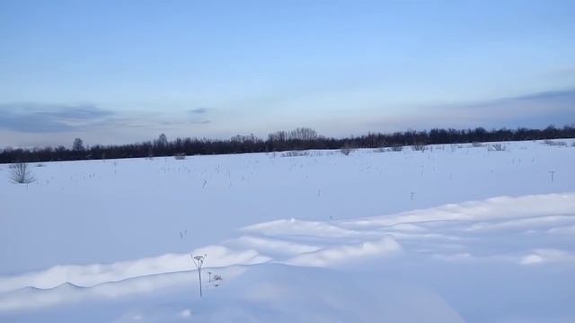 Жуковы/Почему у помидорки попка, а у Лены... // Не жри на ночь! // Обзор видео// смотреть онлайн