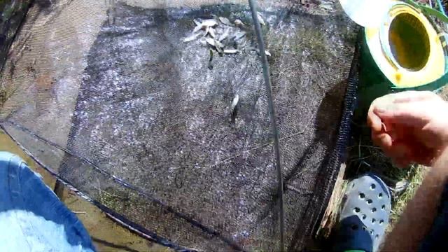 секрет ловли живца малька смотреть онлайн