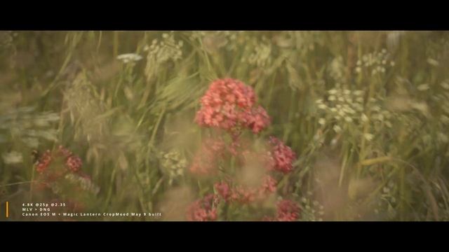 Canon EOS M - Cinematic Raw Video To DNG And ProRes444 - Experimenting With #MAGICLANTERN #CropMood