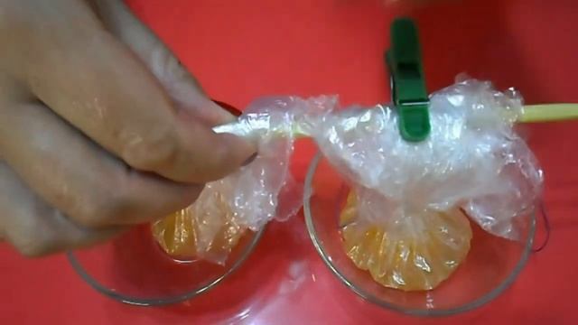 Рецепты желе: лучшие варианты для тебя