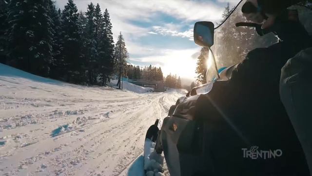 Bode Miller - Back to Trentino смотреть онлайн