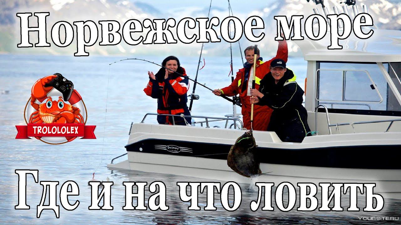 Руксская рыбалка 4 Норвежское море. Где ловить? Как ловить? На что ловить??? +Розыгрыш смотреть онлайн