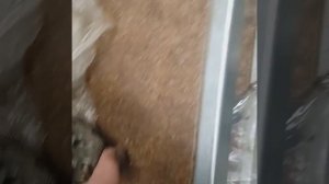 Как отличить насос ГУР от китайской подделки