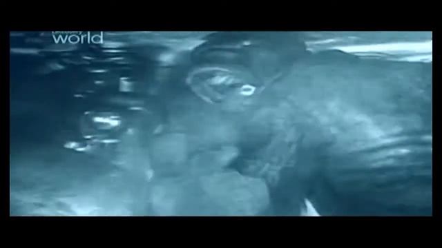 Песня про танки-,,танки вышли в поход" смотреть онлайн