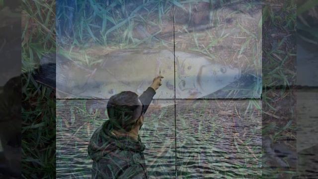 ТОР 8 красивых фото про рыбалку смотреть онлайн