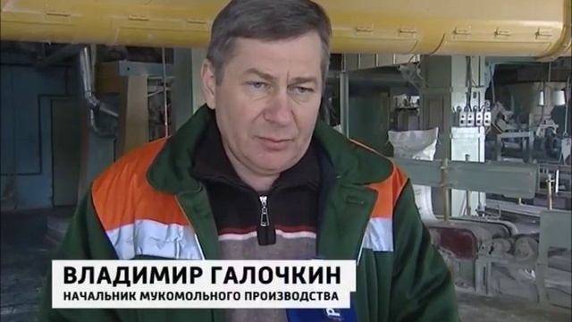 Ржаная мука Зерно Жизни для Крыма смотреть онлайн