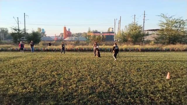 5 V   Ванемия Викинбург КРЕДО (Sarmat v. Gold Sieg – Ванемия Викинбург Ксантия) 29 +++