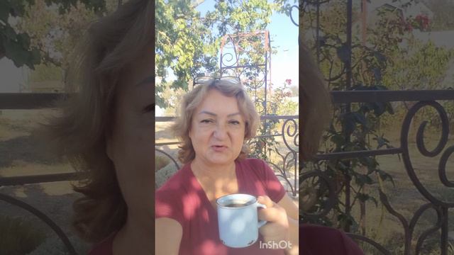 Утро выходного дня