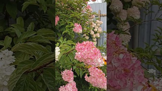 28 августа 2023 г. смотреть онлайн