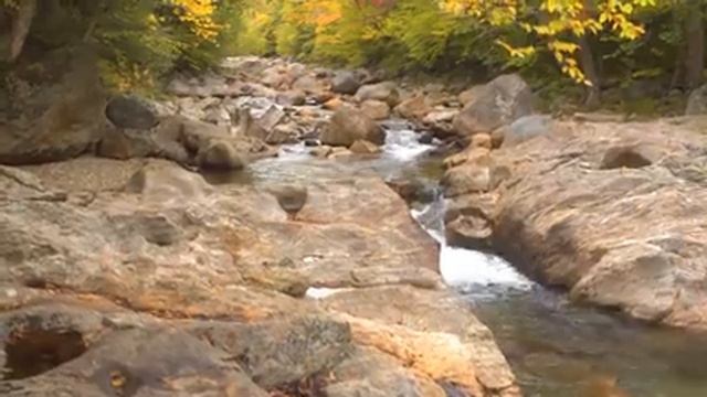 Beautiful Relaxing Music, Sleep Music, Peaceful Piano Music, Meditation Music смотреть онлайн