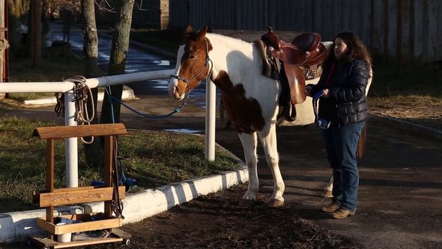 Как седлать лошадь под вестерн | Вестерн амуниция