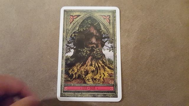 Spirit of Nature Oracle (Reprint)/ Greenman Tree Oracle Flipthrough смотреть онлайн