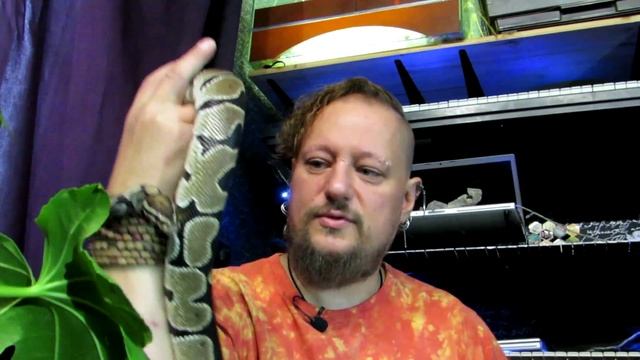 Звездные питомцы. Виктор Щежин-Бурко и его животные. В гостях Лина Вет. смотреть онлайн