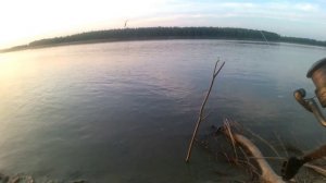 ЛОВЛЯ СУДАКА на МЕРТВУЮ РЫБКУ на ОБИ. Рыбалка 2023 судак на живца. Как поймать на что ловить судака