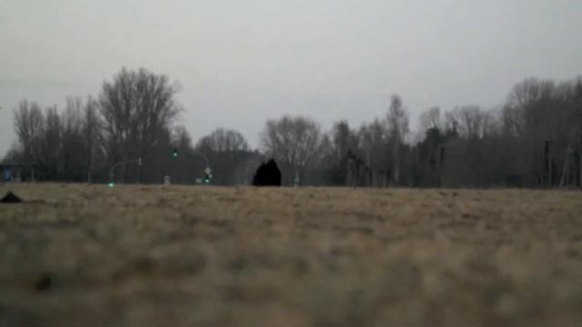 Samsung NX200 Video Test