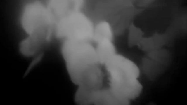 ШКОЛЬНАЯ СТРАШИЛКА - СТРАШНАЯ ИСТОРИЯ смотреть онлайн