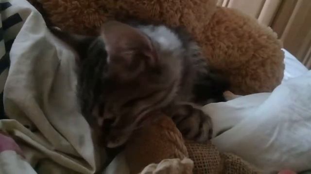 Ох уж эти молочные зубы. смотреть онлайн