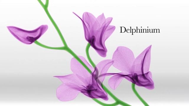 MD Imaging. Pink. It's not just a color. It's a reminder. смотреть онлайн